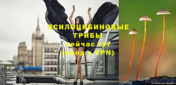 герыч Алексин