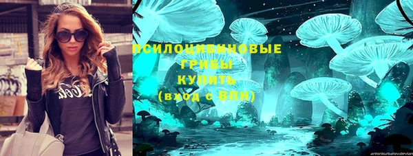 герыч Алексин