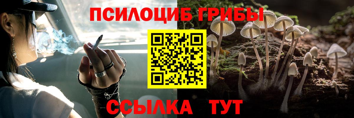Анапа  Псилоцибиновые грибы прущие грибы  Вход с VPN 